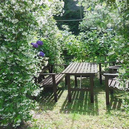 Villa Banana Cannobio Kültér fotó